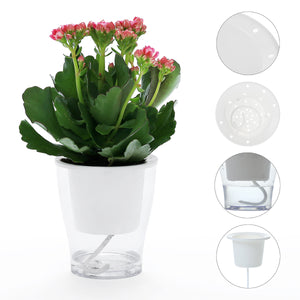 6-inch Self-Watering Planters
