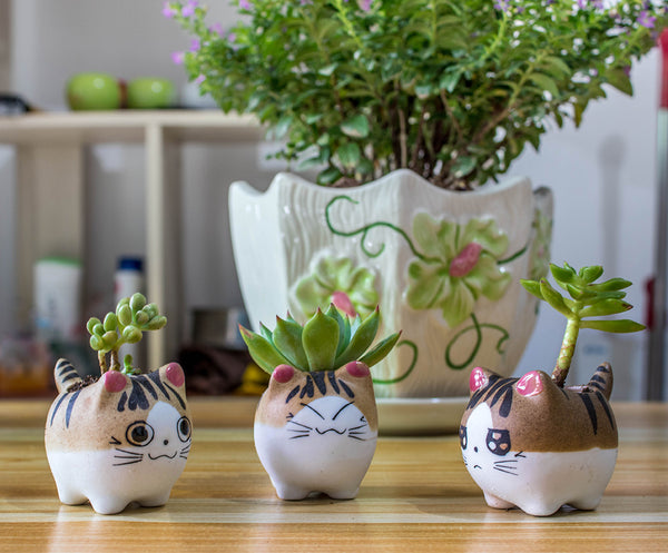 6 Mini Cat Clay Pots for Succulents Size 3-inch