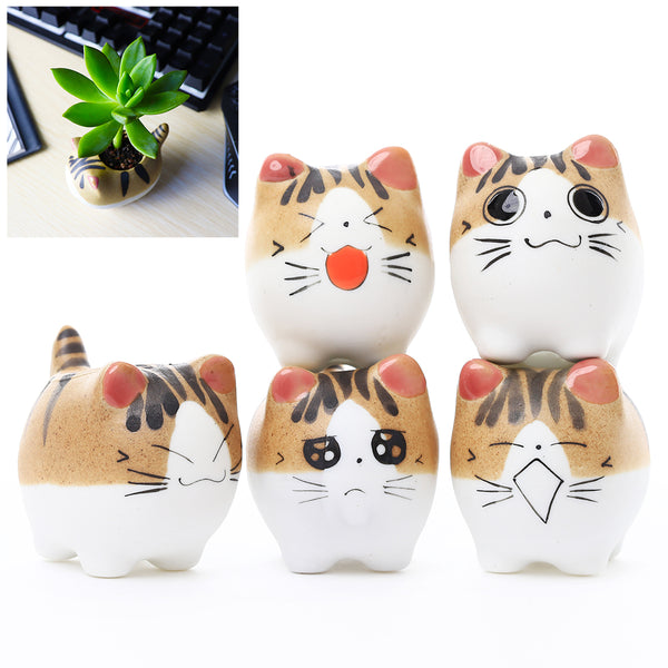 6 Mini Cat Clay Pots for Succulents Size 3-inch